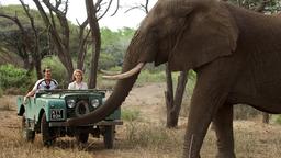 Robin (Andrew Garfield) und Diane (Claire Foy) genießen ihre Zeit in Afrika.