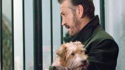 Rocco Schiavone (Marco Giallini) hat einen herrenlosen Hund ins Herz geschlossen und tauft ihn „Lupa“, die Wölfin.