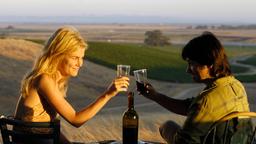 BOTTLE SHOCK: Sam (Rachael Taylor) und Gustavo (Freddy Rodríguez) stoßen an.