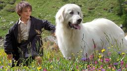 Sebastian (Félix Bossuet) hat den Pyrenäenhund Belle gewaschen. Weil er nun schneeweiß ist, nennt er ihn "Belle".