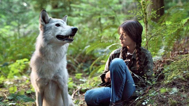 Bild: MDR/RECK Filmproduktion GmbH Shana ist musikalisch hoch talentiert. Sie lebt mit ihrem Vater in einem Indianerdorf in Kanada. Seit ihre Mutter vor zwei Jahren in den Wald gegangen und nicht wieder gekommen ist, fühlt sie sich oft einsam. Dann spielt sie ganz allein unter dem Ahnenbaum auf ihrer Geige und scheint damit einen weissen Wolf magisch anzulocken. Shanas neue Lehrerin entdeckt ihr Talent und meldet sie an der Musikschule von Vancouver an. Wenige Tage vor der Aufnahmeprüfung aber verkauft Shanas Vater die Geige ihrer Mutter. Auf der Suche danach gerät Shana immer tiefer in den Wald, wo sie dem weissen Wolf und den Geistern ihrer Ahnen begegnet. Zwischen Trance und Traum findet Shana zum magischen Geigenspiel, das sie bereit für die grosse Welt macht.