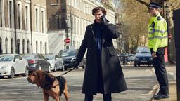 Sherlock (Benedict Cumberbatch) 
