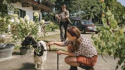 Sophie (Aglaia Szyszkowitz) setzt im Kleinkrieg mit Barthl (Friedrich von Thun) auf Ziegen, die seinem Garten schwer zusetzen.