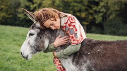Sophie (Aglaia Szyszkowitz) versteht sich mit dem Esel besser als mit ihrem Stallbewohner.