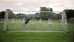 St. Helens hat nun einen Top-Keeper im Tor.