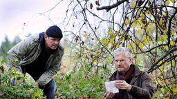 Staranwalt Dr. Mark Degen (Sky Du Mont, re.) und Taxifahrer Josef "Joschi" Sownietz (August Schmölzer) 