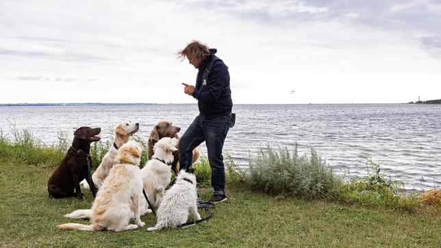 Tiertrainer Marco Heyse mit tierischen Schauspielern