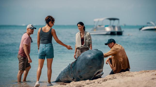 V. li. n. re.: Morten Solheim (Erik Madsen), Manu Hauser (Haley Louise Jones), Pit Wagner (Daniel Roesner) und Yuna Bartosch (Luka Omoto) untersuchen das gestrandete Walbaby.