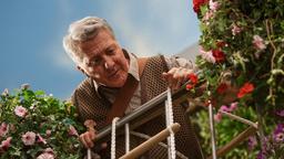 Vom Balkon herab beobachtet Mr. Hoppy (Dustin Hoffman), was seine Nachbarin wohl macht.