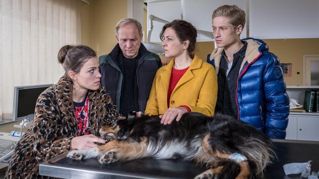 Wenn es um den Hund geht, sind die Lehnerts wieder vereint: Georg (Ulrich Tukur) und seine Frau Doris (Martina Gedeck) mit ihren Kindern Tom (Anton Rubtsov, re.) und Lisa (Giulia Goldammer, li.) beim Tierarzt