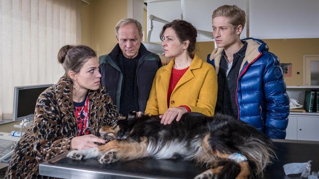 Bild: ARD Degeto/Boris Laewen Wenn es um den Hund geht, sind die Lehnerts wieder vereint: Georg (Ulrich Tukur) und seine Frau Doris (Martina Gedeck) mit ihren Kindern Tom (Anton Rubtsov, re.) und Lisa (Giulia Goldammer, li.) beim Tierarzt