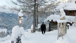Arnold (Ulrich Matthes) lässt sein altes Leben zurück und zieht sich mit seinem Hund in die Einsamkeit einer abgelegenen Berghütte zurück.