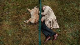 Bosco ist vom Tierheim an eine neue Familie vermittelt worden. Lothar (Jens Harzer) bleibt nur die Möglichkeit, die Nähe seines Hundes durch einen Zaun zu suchen.