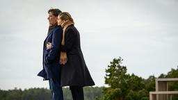 Deutschland 2029. Zusammen mit seiner Frau Lucia zieht sich der Star-Journalist Johann Hellström in sein volldigitalisiertes Ferienhaus auf einer Ostsee-Insel zurück.