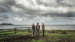 Lona Vogt (Henny Reents) fühlt den Bauern Rainer (Andreas Eckel) und Lütjen (Tim Grobe) auf den Zahn.