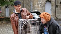 Armin (Antonio Wannek) präsentiert der Roßhauptnerin (Hansi Jochmann) den Waschbären, der sie nachts auf dem Dachboden so erschreckt hat.