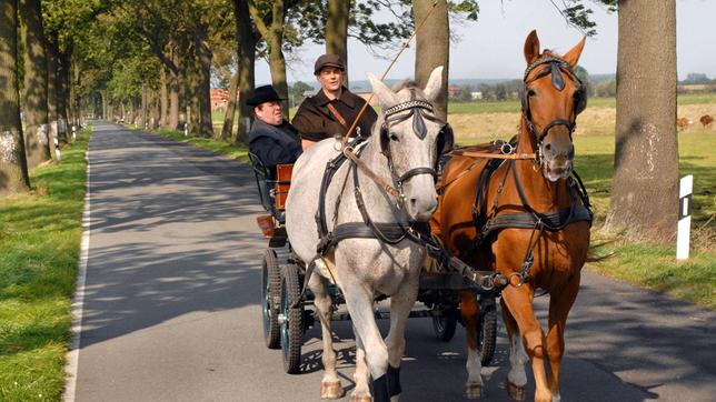 Bild: ARD Degeto/Reiner Bajo Mangels Taxi nimmt Pfarrer Braun (Ottfried Fischer) Malte Lehmkuhls (Martin Feifel) nostalgische Kutsche.