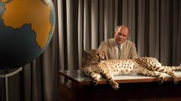 Bernhard Grzimek (Ulrich Tukur) stellt in seiner Fernsehsendung "Ein Platz für Tiere" immer ein wildes Tier vor