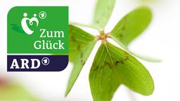 ARD-Themenwoche "Zum Glück"