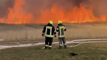 Bild: ARD Brennendes Getreidefeld in Hessen