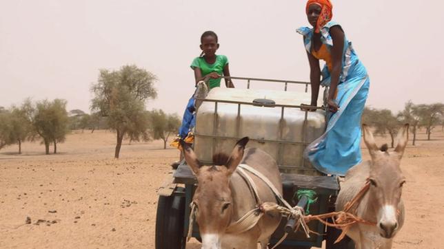 Bild: SWR Fatou in Senegal