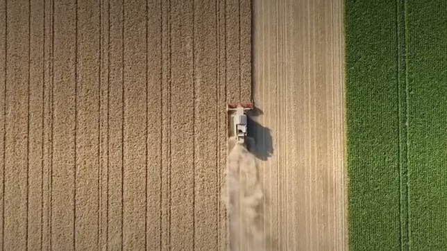 Bild: MDR Landwirtschaft ist auf Wasser angewiesen