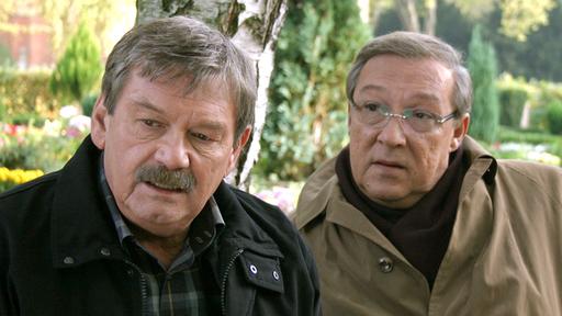 Elegant Der Mann Im Baum Polizeiruf 110 Ganzer Film