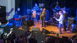 Musikalischer Begleiter in der "Tatort"-Lounge war Klaus Doldinger und Band Passport  – von ihm stammt die "Tatort"-Titelmelodie.