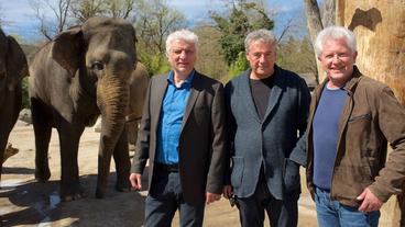 Von links: Udo Wachtveitl, Markus Imboden und Miroslav Nemec im Tierpark Hellabrunn