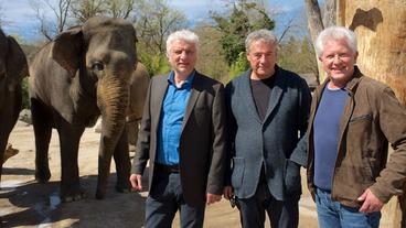 Bild: BR/Bernd Schuller Von links: Udo Wachtveitl, Markus Imboden und Miroslav Nemec im Tierpark Hellabrunn
