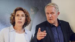 Moritz Eisner (Harald Krassnitzer) und Bibi Fellner (Adele Neuhauser)