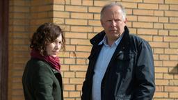 In einem kleinen Dorf wird ein grausiger Fund gemacht: Einem jungen Mann wurde der Kopf abgeschnitten. Ihre Ermittlungen führen die Kommissare Klaus Borowski und Sarah Brandt in die Kieler Drogenszene. Tatort: "Borowski und der Himmer über Kiel" | 25.01.2015