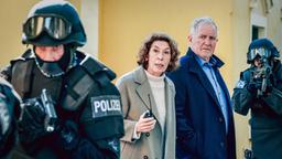 Adele Neuhauser (Bibi Fellner), Harald Krassnitzer (Moritz Eisner)