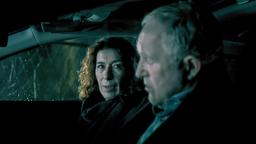 Bibi Fellner (Adele Neuhauser) und Moritz Eisner (Harald Krassnitzer).