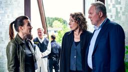 Christina Scherrer (Meret Schande), Adele Neuhauser (Bibi Fellner), Harald Krassnitzer (Moritz Eisner).