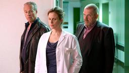 TATORT: NARBEN Die Kommissare Max Ballauf (Klaus J. Behrendt) und Freddy Schenk (Dietmar Bär) überbringen Dr. Sabine Schmuck (Julia Jäger, Mitte) die Nachricht vom Tod ihres Kollegen.