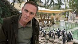 Dr. Gremlich (Dirk Martens) ist der Tierarzt im Zoo.