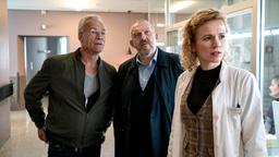 Dr. Maren Koch (Adina Vetter) hat gerade die Kommissare Freddy Schenk (Dietmar Bär) und Max Ballauf (Klaus J. Behrendt) in der Klinik begrüßt - als sie von Geschrei abgelenkt wird.