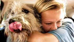 Emily (Meira Durand) liebt den Hund Luno, der für sie auch eine Verbindung zur Heimat ist.