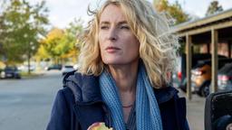 Ermittlungen im Alten Land: Kommissarin Charlotte Lindholm (Maria Furtwängler).