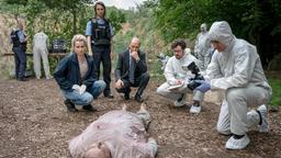 Im Foto: Leonie Winkler (Cornelia Gröschel), Polizistin Antje (Victoria Schulz), Peter Schnabel (Martin Brambach) und Dr. Himpe (Ron Helbig) inspizieren die Tote Lilly-Marie Reuter (Dilara Aylin Ziem) am Leichen-Fundort.