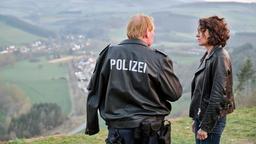 In Zarten in der Westpfalz, im Revier von Dienststellenleiter Stefan Tries (Ben Becker), wurde ein Polizist getötet. Lena Odenthal, die nach Zarten kommt um zu ermitteln, und Tries sind einander nicht unbekannt.