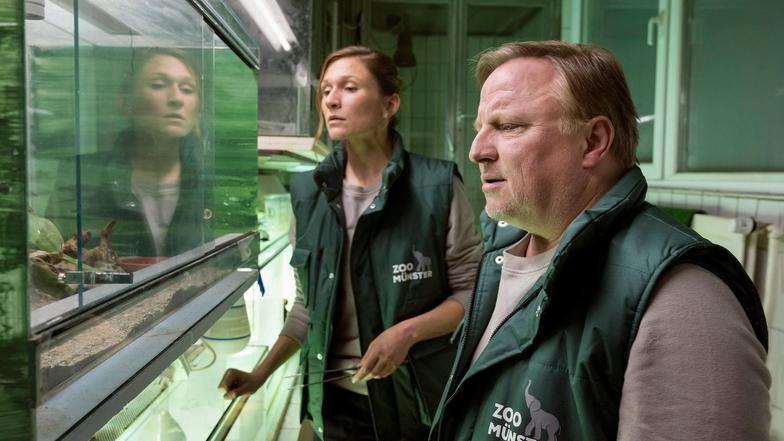 Tatort Münster Ganze Folgen Tatort Münster Ganze Folgen