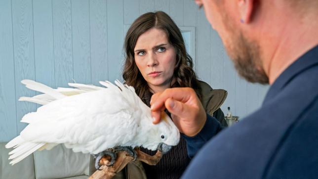Bild: MDR/MadeFor/Steffen Junghans Kira Dorn (Nora Tschirner) befragt den Verdächtigen John Geist (Ronald Zehrfeld) zu seltenen Vögeln.