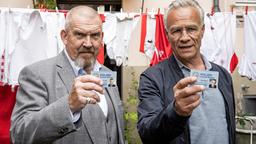 Kripo Köln: Max Ballauf (Klaus J. Behrendt, r) und Freddy Schenk (Dietmar Bär, l) weisen sich aus - im Garten eines Verdächtigen.