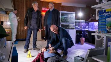 Bild: WDR/Thomas Kost Lars Deisböck (Paul Falk) wurde bei einem Überfall auf den Laden seines Vaters erschossen. Die Kommissare Max Ballauf (Klaus J. Behrendt, l) und Freddy Schenk (Dietmar Bär, h) erfahren von Rechtsmediziner Dr. Joseph Roth (Joe Bausch, r), wie der junge Mann ums Leben kam.