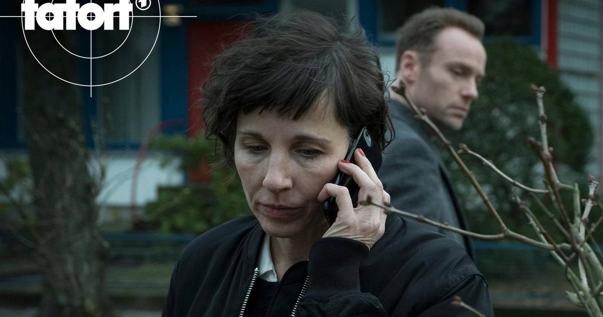 Tatort Tiere Der Großstadt Tatort Tiere Der Großstadt