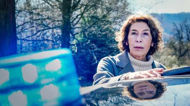 Adele Neuhauser (Bibi Fellner), Tatort: Wir sind nicht zu fassen