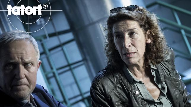 Bild: ARD Degeto/ORF/Graf Film/Helga Rader Ein Mordfall ohne Leiche – für Moritz Eisner (Harald Krassnitzer) und Bibi Fellner (Adele Neuhauser) hat ihr Beruf immer noch Überraschungen parat. In der Bergwelt Kärntens muss das Wiener Tatortduo den Tod eines unbeliebten Holzbarons aufklären, der im eigenen Heizkessel verbrannt ist.