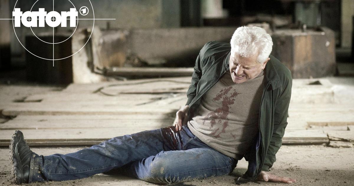 Tatort München Der Tod Ist Unser Ganzes Leben Tatort München Der Tod Ist Unser Ganzes Leben